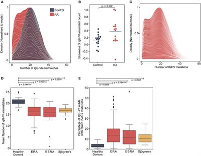 In Human Autoimmunity, a Substantial Component of the B Cell Repertoire Consists of Polyclonal, Barely Mutated IgG+ve B Cells